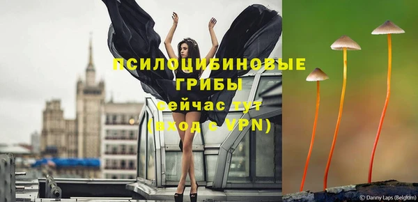 прущие грибы Бородино