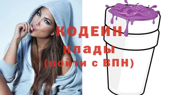 прущие грибы Бородино