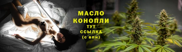 крисы Бугульма
