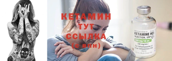 прущие грибы Бородино