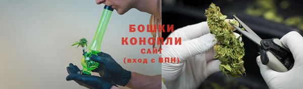 ПСИЛОЦИБИНОВЫЕ ГРИБЫ Бронницы