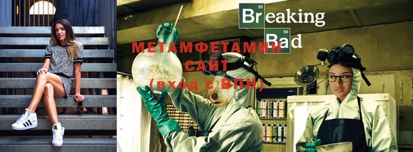 прущие грибы Бородино