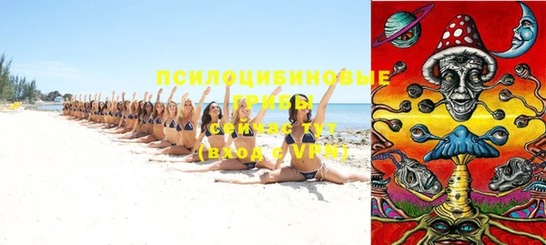 прущие грибы Бородино