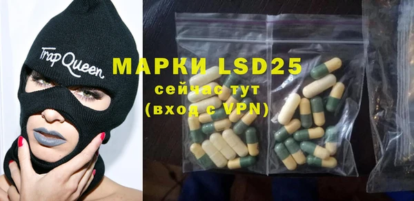 прущие грибы Бородино