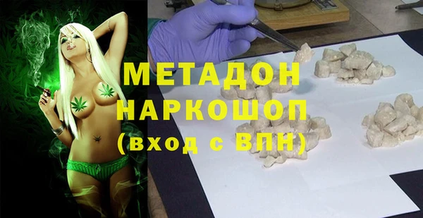 прущие грибы Бородино